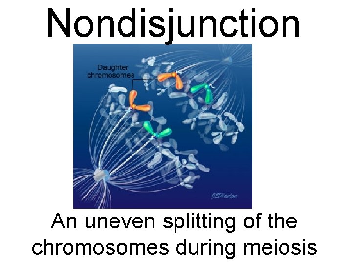 Nondisjunction An uneven splitting of the chromosomes during meiosis 