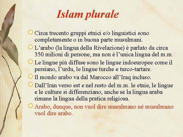 Islam plurale Circa trecento gruppi etnici e/o linguistici sono completamente o in buona parte