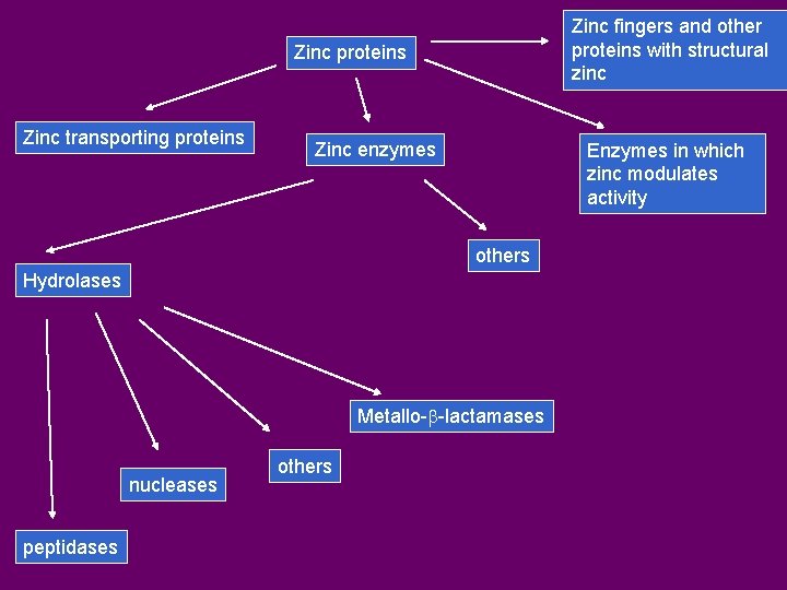 Zinc fingers and other proteins with structural zinc Zinc proteins Zinc transporting proteins Zinc