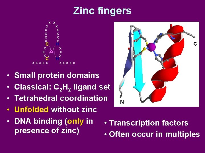 Zinc fingers C • • • Small protein domains Classical: C 2 H 2