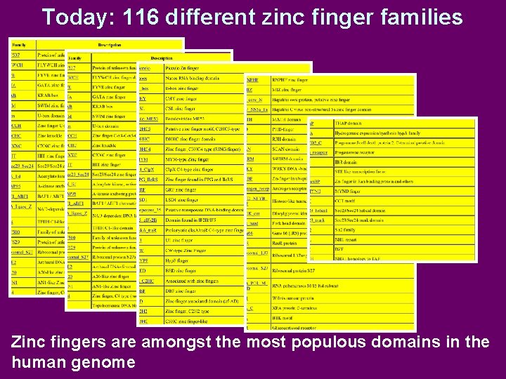 Today: 116 different zinc finger families Zinc fingers are amongst the most populous domains