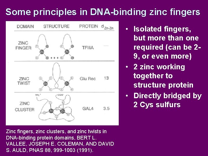 Some principles in DNA-binding zinc fingers • Isolated fingers, but more than one required