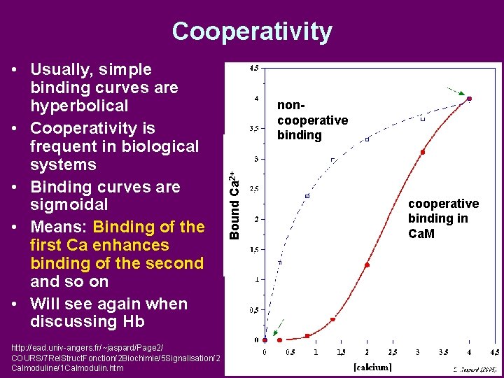  • Usually, simple binding curves are hyperbolical • Cooperativity is frequent in biological