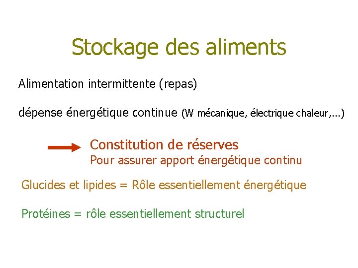 Stockage des aliments Alimentation intermittente (repas) dépense énergétique continue (W mécanique, électrique chaleur, .