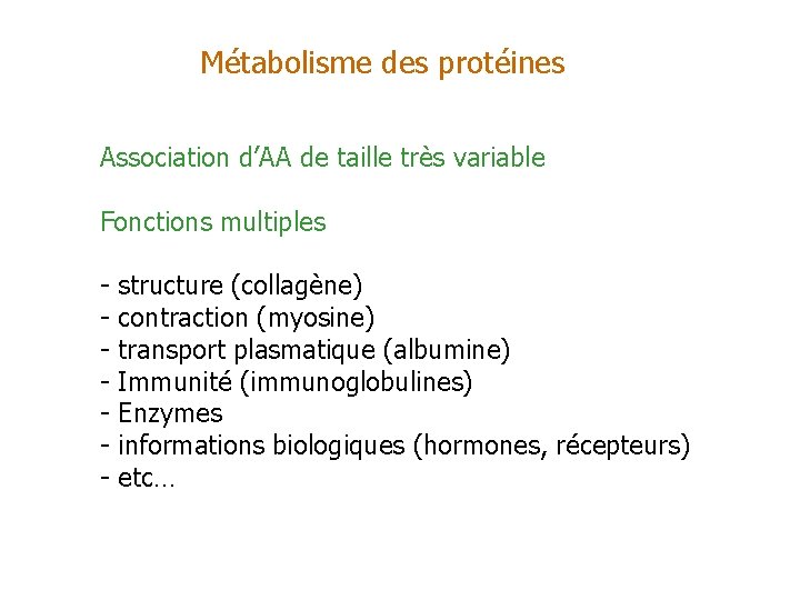 Métabolisme des protéines Association d’AA de taille très variable Fonctions multiples - structure (collagène)