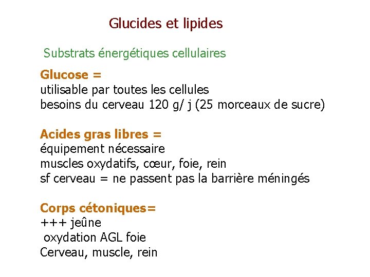 Glucides et lipides Substrats énergétiques cellulaires Glucose = utilisable par toutes les cellules besoins