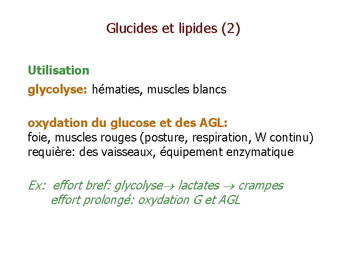 Glucides et lipides (2) Utilisation glycolyse: hématies, muscles blancs oxydation du glucose et des