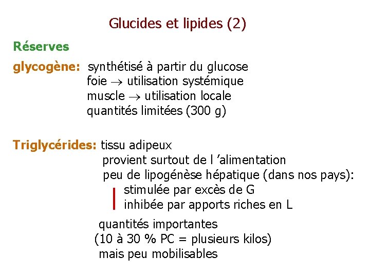 Glucides et lipides (2) Réserves glycogène: synthétisé à partir du glucose foie utilisation systémique