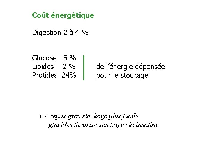 Coût énergétique Digestion 2 à 4 % Glucose 6 % Lipides 2 % Protides