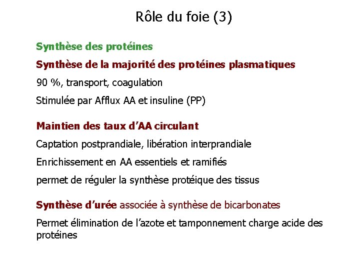 Rôle du foie (3) Synthèse des protéines Synthèse de la majorité des protéines plasmatiques