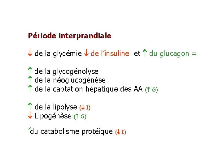 Période interprandiale de la glycémie de l’insuline et du glucagon = de la glycogénolyse