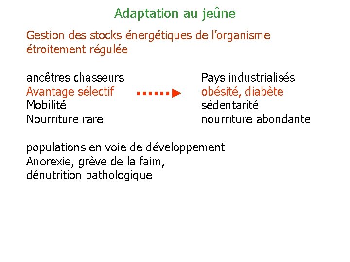 Adaptation au jeûne Gestion des stocks énergétiques de l’organisme étroitement régulée ancêtres chasseurs Avantage