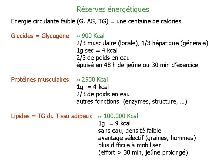 Réserves énergétiques Energie circulante faible (G, AG, TG) = une centaine de calories Glucides