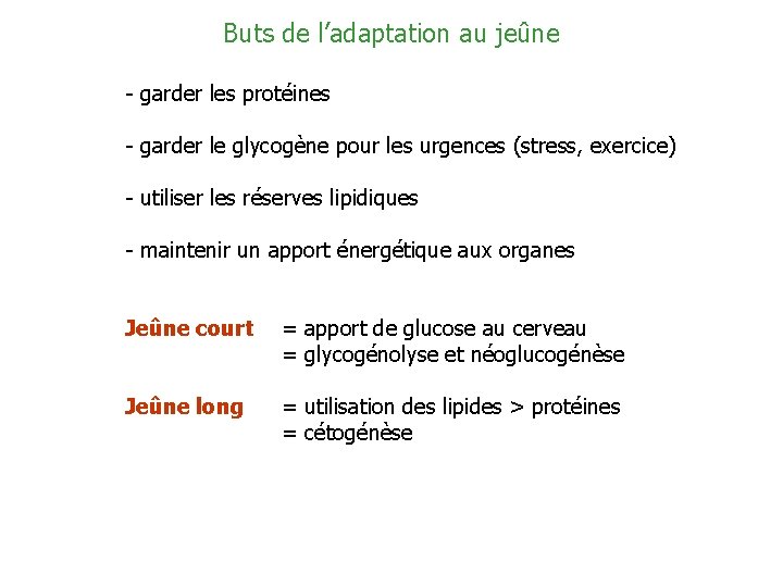 Buts de l’adaptation au jeûne - garder les protéines - garder le glycogène pour