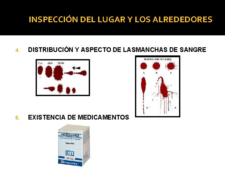 INSPECCIÓN DEL LUGAR Y LOS ALREDEDORES 4. DISTRIBUCIÓN Y ASPECTO DE LASMANCHAS DE SANGRE INSPECCIÓN DEL LUGAR Y LOS ALREDEDORES 4. DISTRIBUCIÓN Y ASPECTO DE LASMANCHAS DE SANGRE