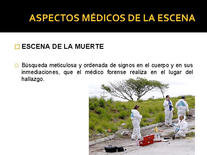 ASPECTOS MÉDICOS DE LA ESCENA � DE LA MUERTE Búsqueda meticulosa y ordenada de ASPECTOS MÉDICOS DE LA ESCENA � DE LA MUERTE Búsqueda meticulosa y ordenada de