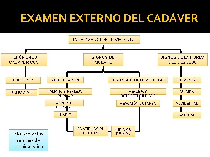 EXAMEN EXTERNO DEL CADÁVER INTERVENCIÓN INMEDIATA FENÓMENOS CADAVÉRICOS INSPECCIÓN PALPACIÓN SIGNOS DE MUERTE SIGNOS EXAMEN EXTERNO DEL CADÁVER INTERVENCIÓN INMEDIATA FENÓMENOS CADAVÉRICOS INSPECCIÓN PALPACIÓN SIGNOS DE MUERTE SIGNOS