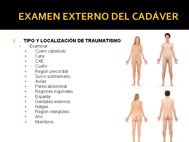 EXAMEN EXTERNO DEL CADÁVER TIPO Y LOCALIZACIÓN DE TRAUMATISMOS 2. Examinar: Cuero cabelludo Cara EXAMEN EXTERNO DEL CADÁVER TIPO Y LOCALIZACIÓN DE TRAUMATISMOS 2. Examinar: Cuero cabelludo Cara