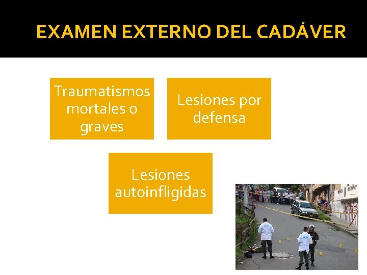 EXAMEN EXTERNO DEL CADÁVER Traumatismos mortales o graves Lesiones por defensa Lesiones autoinfligidas EXAMEN EXTERNO DEL CADÁVER Traumatismos mortales o graves Lesiones por defensa Lesiones autoinfligidas