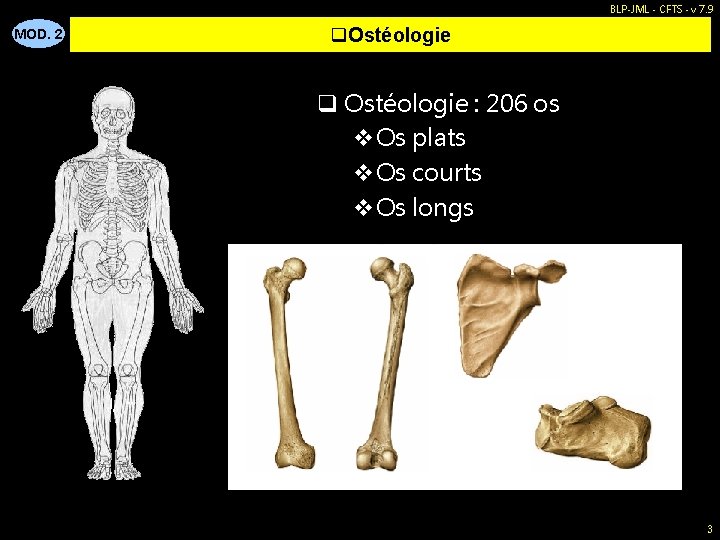 BLP-JML - CFTS - v 7. 9 MOD. 2 q. Ostéologie q Ostéologie :