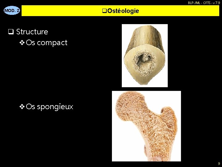 BLP-JML - CFTS - v 7. 9 MOD. 2 q. Ostéologie q Structure v.