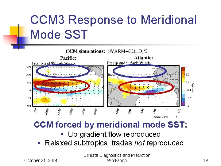 CCM 3 Response to Meridional Mode SST CCM forced by meridional mode SST: §