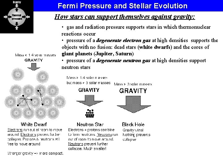 Fermi Pressure and Stellar Evolution How stars can support themselves against gravity: • gas