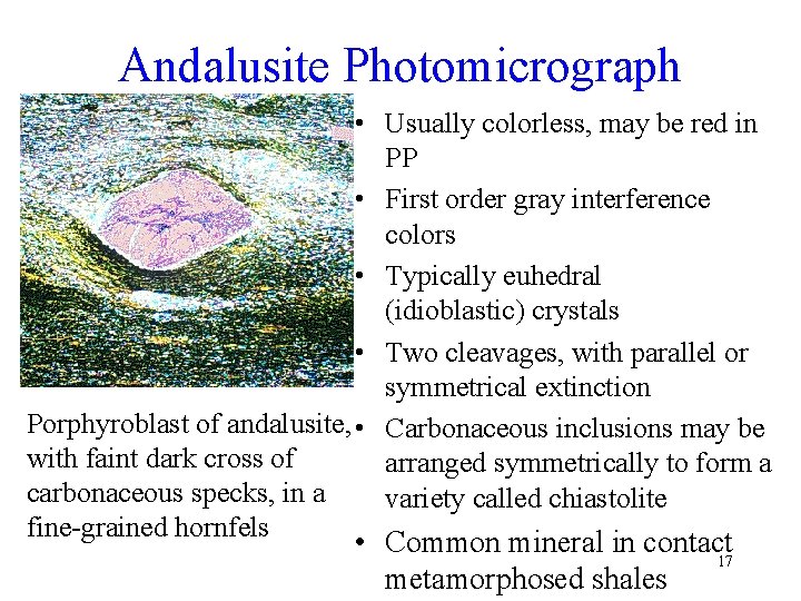 Andalusite Photomicrograph • Usually colorless, may be red in PP • First order gray
