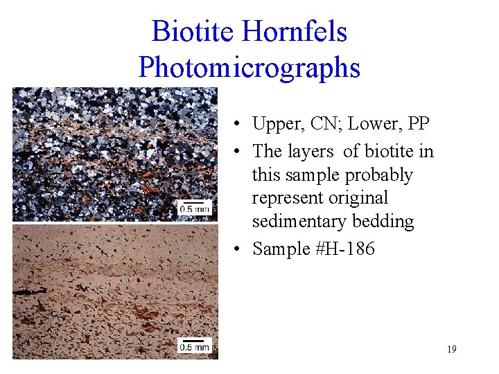 Biotite Hornfels Photomicrographs • Upper, CN; Lower, PP • The layers of biotite in