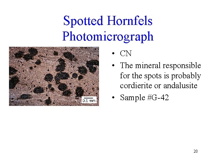 Spotted Hornfels Photomicrograph • CN • The mineral responsible for the spots is probably