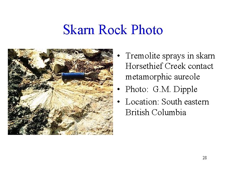 Skarn Rock Photo • Tremolite sprays in skarn Horsethief Creek contact metamorphic aureole •