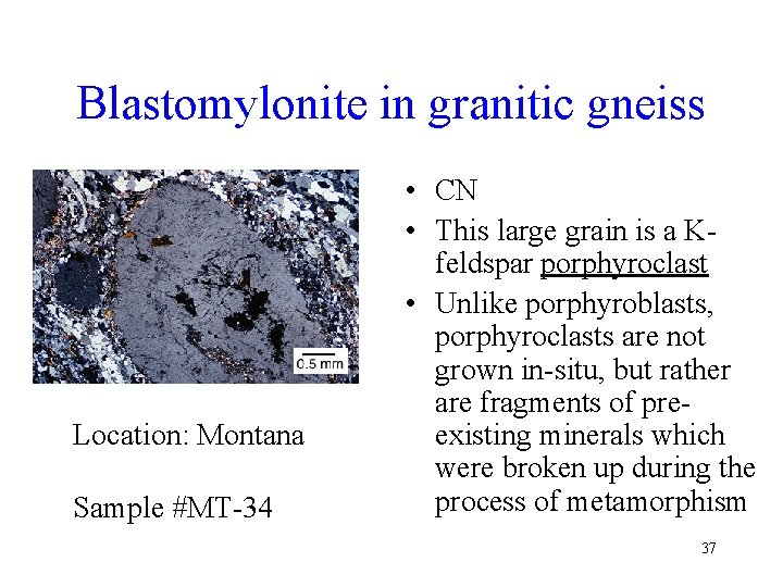 Blastomylonite in granitic gneiss Location: Montana Sample #MT-34 • CN • This large grain