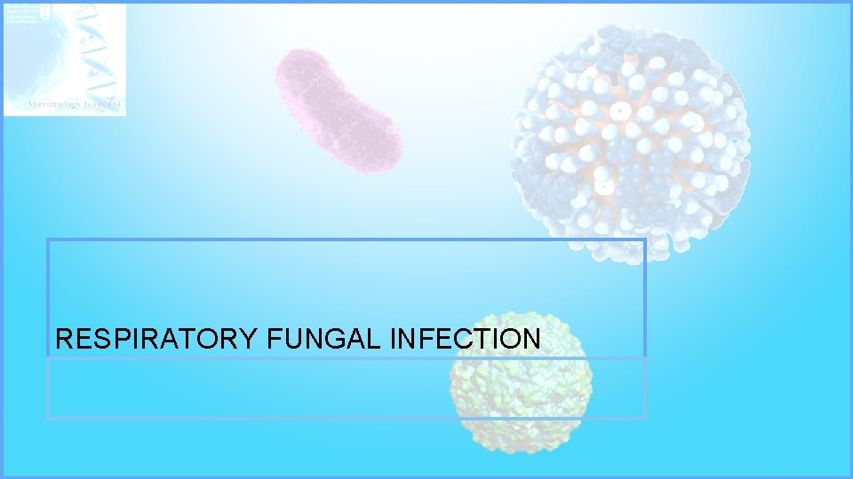 RESPIRATORY FUNGAL INFECTION 