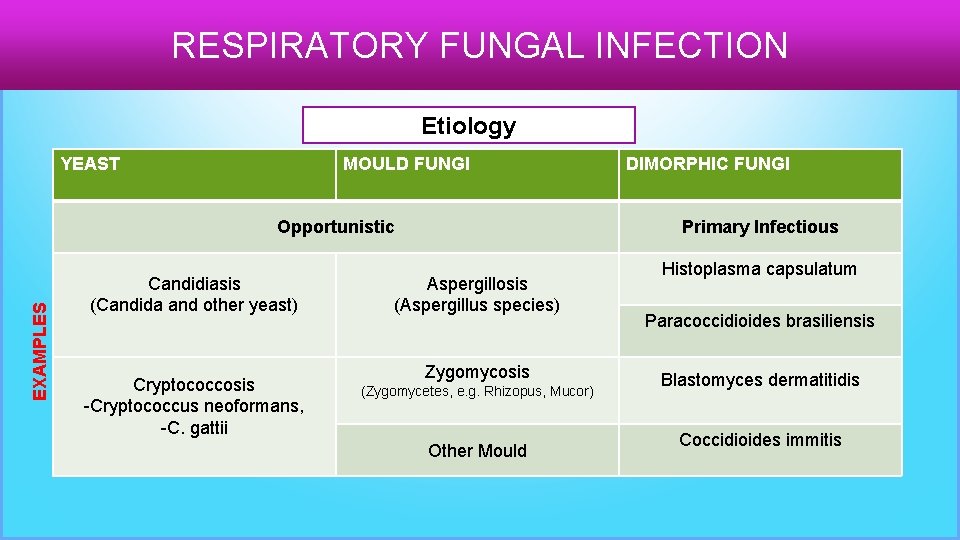 RESPIRATORY FUNGAL INFECTION Etiology YEAST MOULD FUNGI EXAMPLES Opportunistic Candidiasis (Candida and other yeast)