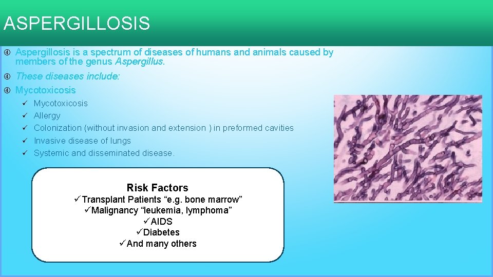 ASPERGILLOSIS Aspergillosis is a spectrum of diseases of humans and animals caused by members