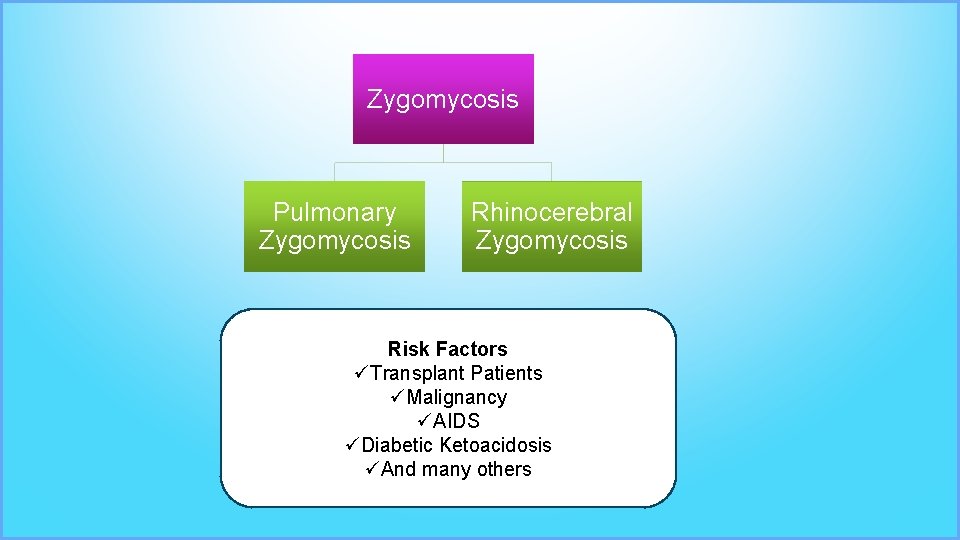 Zygomycosis Pulmonary Zygomycosis Rhinocerebral Zygomycosis Risk Factors üTransplant Patients üMalignancy üAIDS üDiabetic Ketoacidosis üAnd