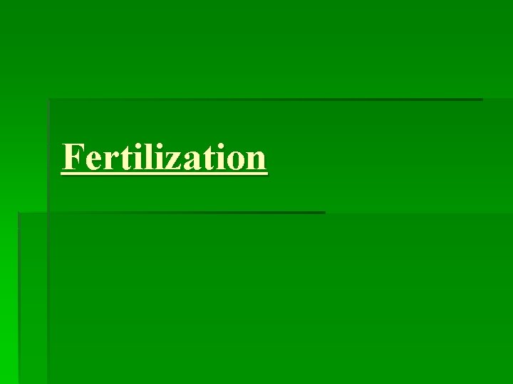 Fertilization 