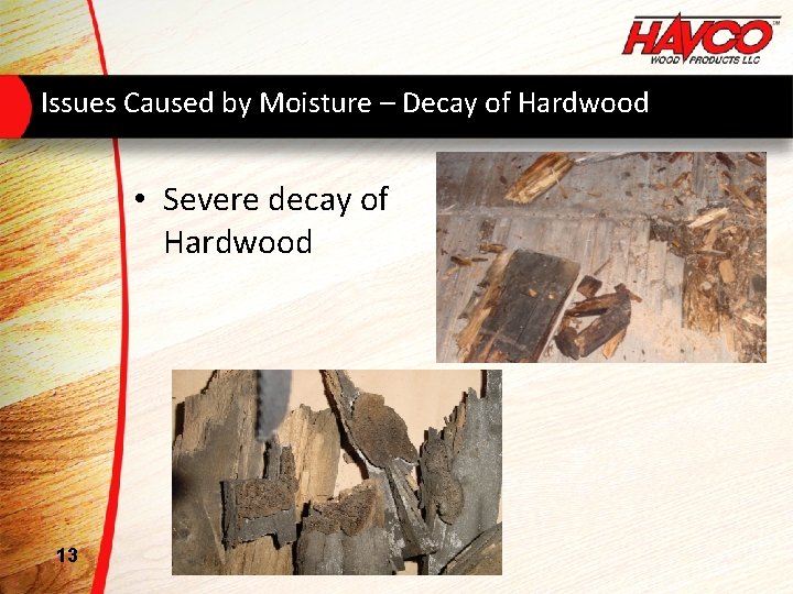 Issues Caused by Moisture – Decay of Hardwood • Severe decay of Hardwood 13