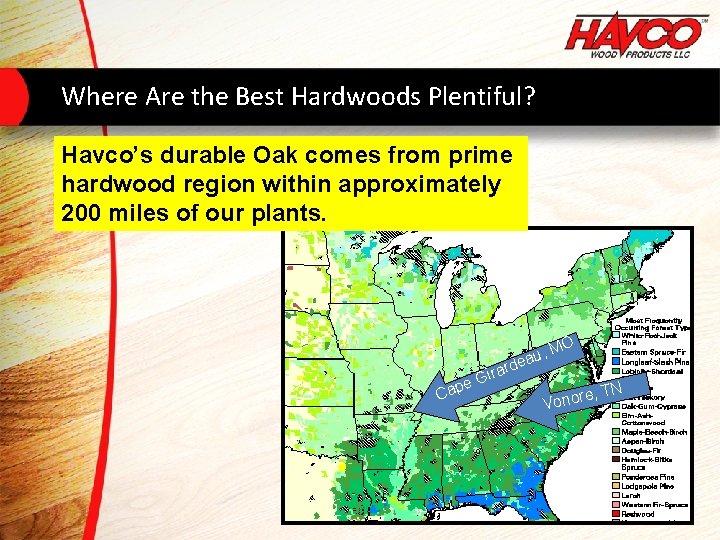 Where Are the Best Hardwoods Plentiful? Havco’s durable Oak comes from prime hardwood region