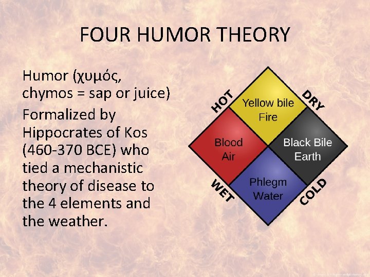 FOUR HUMOR THEORY Humor (χυμός, chymos = sap or juice) Formalized by Hippocrates of