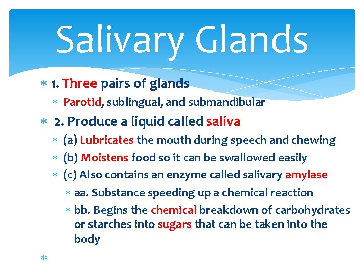 Salivary Glands 1. Three pairs of glands Parotid, sublingual, and submandibular 2. Produce a