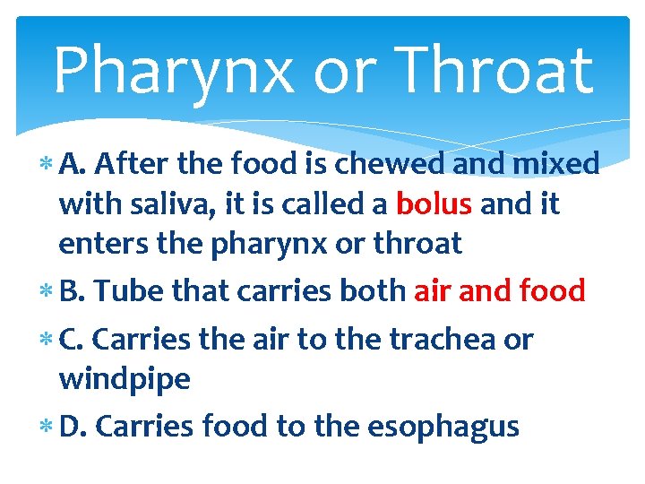 Pharynx or Throat A. After the food is chewed and mixed with saliva, it