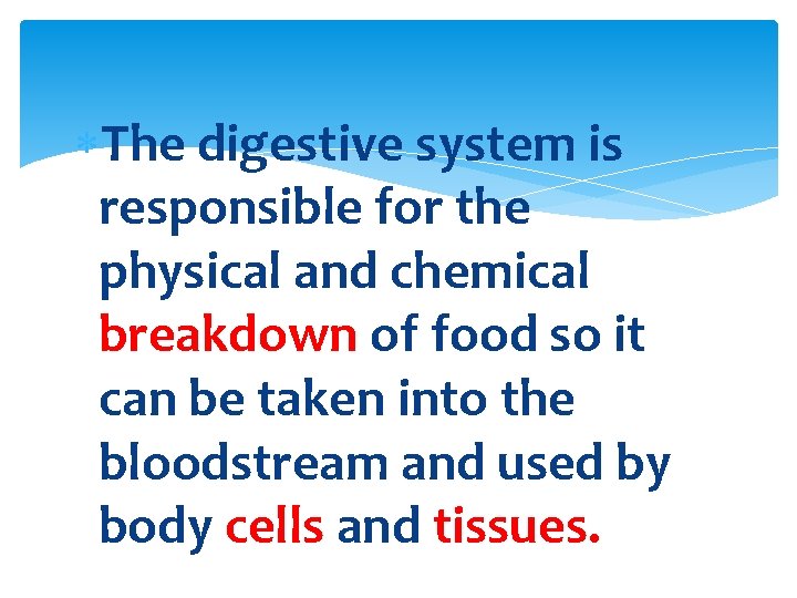  The digestive system is responsible for the physical and chemical breakdown of food