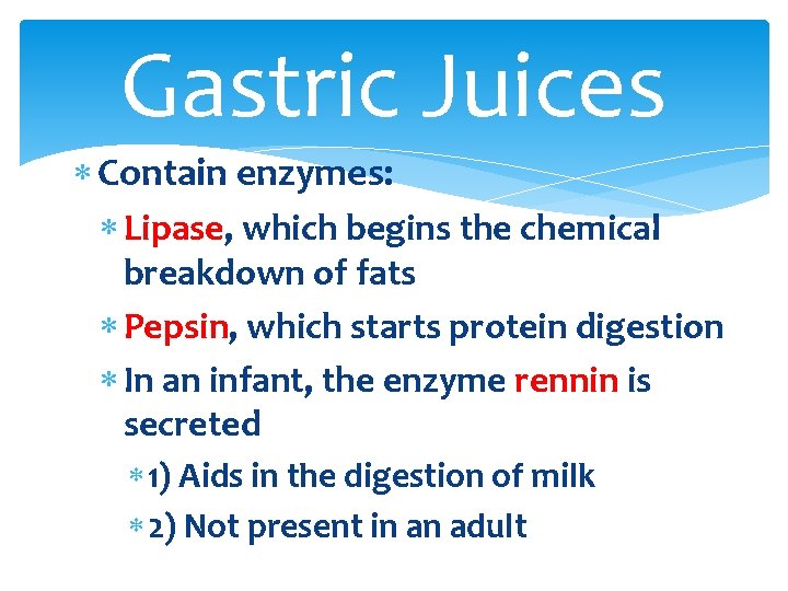 Gastric Juices Contain enzymes: Lipase, which begins the chemical breakdown of fats Pepsin, which