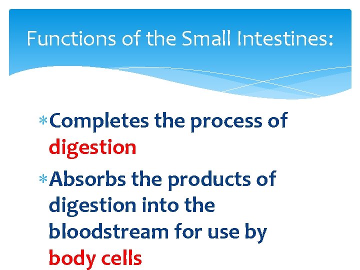 Functions of the Small Intestines: Completes the process of digestion Absorbs the products of