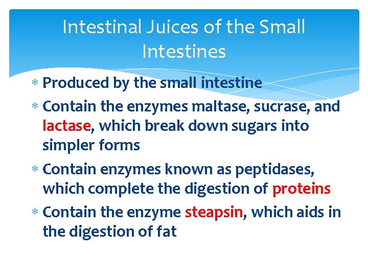 Intestinal Juices of the Small Intestines Produced by the small intestine Contain the enzymes