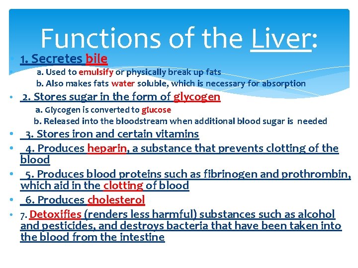 Functions of the Liver: • 1. Secretes bile • a. Used to emulsify or