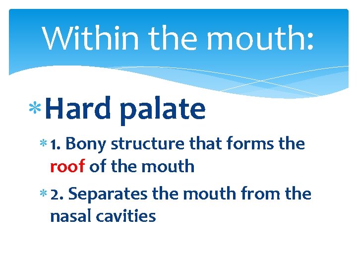 Within the mouth: Hard palate 1. Bony structure that forms the roof of the