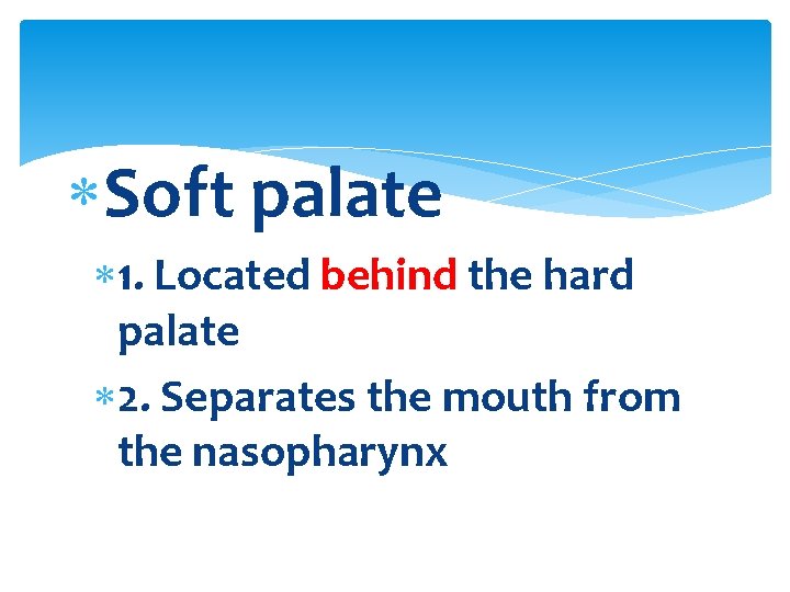  Soft palate 1. Located behind the hard palate 2. Separates the mouth from