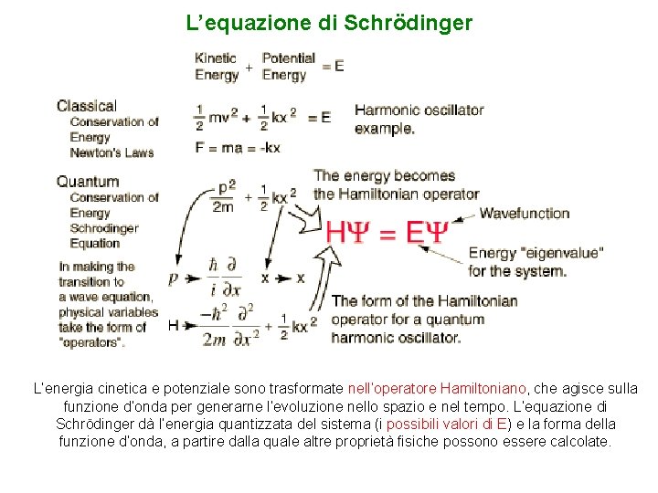 L’equazione di Schrödinger L’energia cinetica e potenziale sono trasformate nell’operatore Hamiltoniano, che agisce sulla